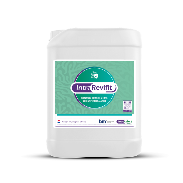 intra revifit front 33f9